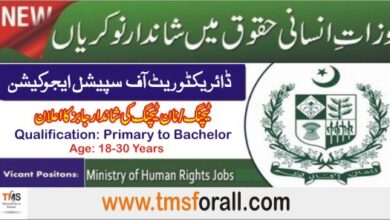 Ministry of Human Rights Jobs 2022