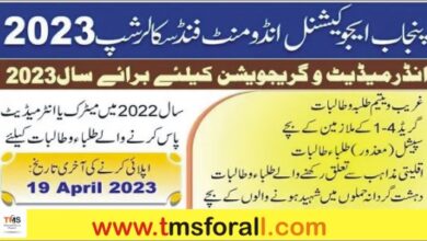 PEEF Special Quota Scholarship 2023