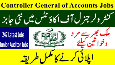 Junior Auditor Jobs 2023