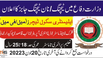 FGEI Teaching and Non Teaching Jobs 2023