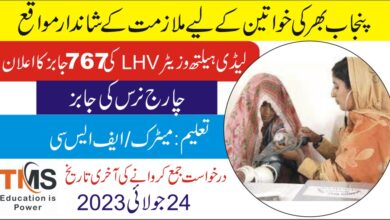 LHV Jobs 2023