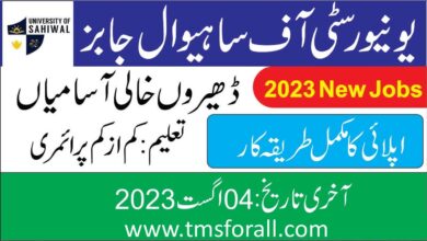 University of Sahiwal Jobs 2023