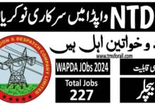NTDC Jobs 2024