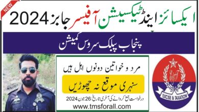 excise and taxation inspector jobs 2024