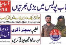 PPSC Punjab Police Jobs 2024