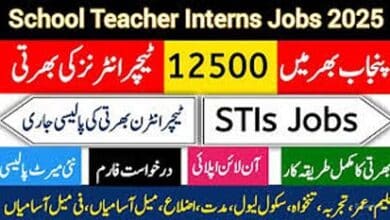 STI Jobs 2025