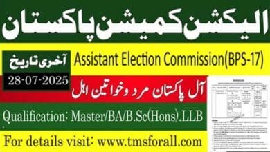 ECP Jobs 2025 advertisement
