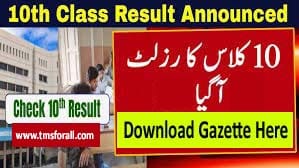 Matric Result 2025 Punjab