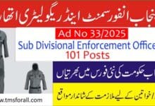 PPSC Sub Division Enforcement Officer Jobs 2025
