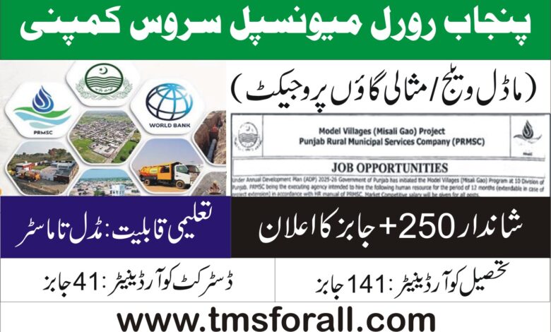 Punjab Rural Municipal Services Company Jobs 2025 Advertisement