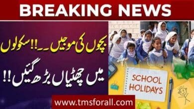 Summer Vacations Extended in Punjab
