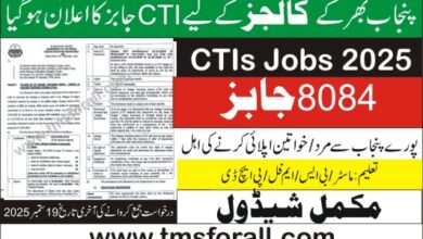 CTI Jobs 2025