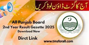 Inter Part 2 Result 2025