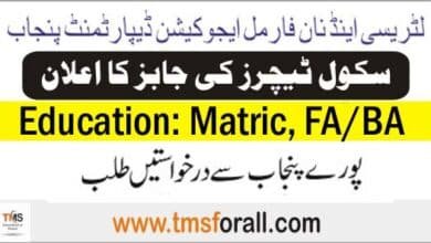 Literacy and Non Formal Education Jobs 2025