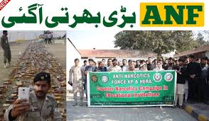 Punjab Counter Narcotics Force Jobs 2025