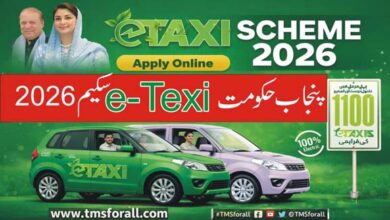 E Taxi Scheme 2026