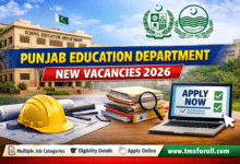 Punjab Education Department New Vacancies 2026