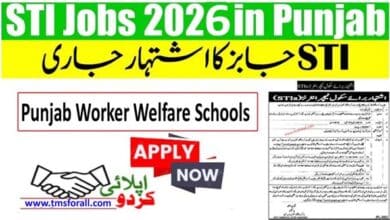 STI Jobs 2026