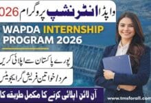 Wapda Internship Program 2026