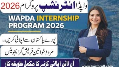 Wapda Internship Program 2026