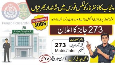 CNF Jobs 2026