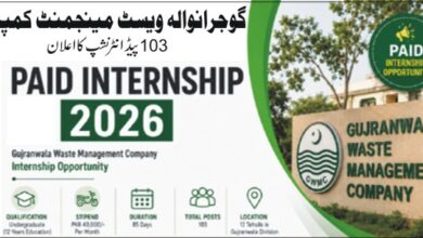 GWMC Paid Internship 2026