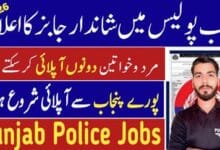 Punjab Police Special Branch Jobs 2026