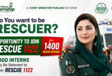 Rescue Internship 2026