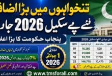 Revised Basis Pay Scale 2026 Punjab