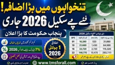 Revised Basis Pay Scale 2026 Punjab