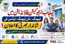 PEF Jobs
