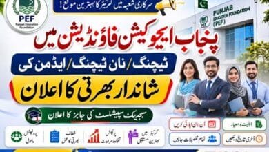 PEF Jobs