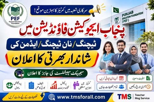 PEF Jobs