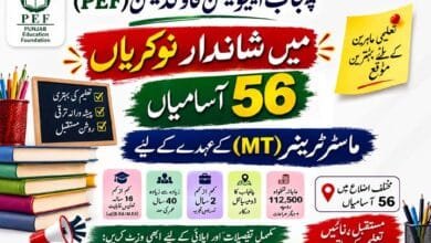 PEF Master Trainer Jobs 2026