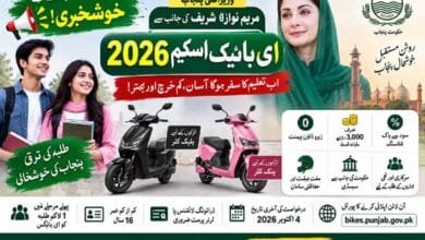 ebike scheme 2026