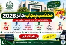 Mohtasib Punjab Jobs 2026