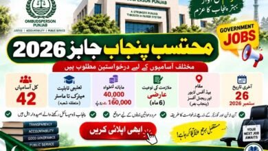 Mohtasib Punjab Jobs 2026