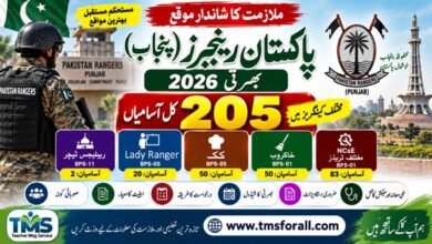 Punjab Ranger Jobs 2026