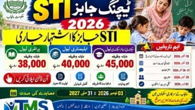 STI Jobs 2026