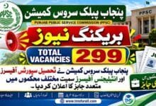 PPSC Advertisement No 11/2026