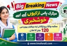Child Protection Jobs 2026