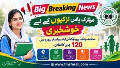 Child Protection Jobs 2026